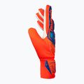 Brankářské rukavice Reusch Attrakt Starter Solid shocking orange/blue 4