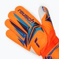 Dětské brankářské rukavice Reusch Attrakt Grip Junior shocking orange/blue 4