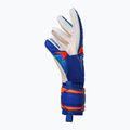 Brankářské rukavice Reusch Attrakt Advance sharp blue/white/shocking orange 4