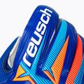 Brankářské rukavice Reusch Attrakt Solid sharp blue/white/shocking orange 6