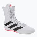 Boxerské boty Adidas Box Hog 3 bílé GV9975