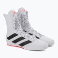 Boxerské boty Adidas Box Hog 3 bílé GV9975 5