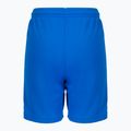 Dětské fotbalové šortky PUMA Teamliga tmavě modré 70493102 2