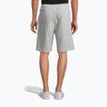 Pánské šortky FILA Blehen Sweat shorts light grey melange 2