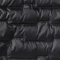 Pánská bunda  Jack Wolfskin Passamani Down phantom 20