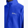 Pánská fleecová mikina Jack Wolfskin Taunus Fz vibrant blue 5