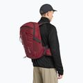 Turistický batoh Jack Wolfskin Cyrox Shape 20 l deep ruby 5