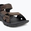 Pánské sandály Jack Wolfskin Lakewood Ride cold coffee 7