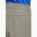 Pánské trekové šortky Jack Wolfskin Pico Trail stone 5