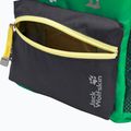 Dětský turistický batoh Jack Wolfskin Little Scout 10 l mystic green 11