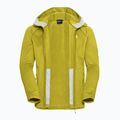 Pánská trekingová mikina Jack Wolfskin Peak District Hooded Full Zip chartreuse 9