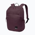 Městský batoh Jack Wolfskin Terraview 20 l amaranth 2