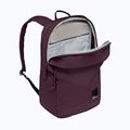 Městský batoh Jack Wolfskin Terraview 20 l amaranth 6