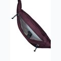 Ledvinka Jack Wolfskin Konya Hipbag 2 l amarantová 4