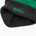 Dětská zimní čepice Jack Wolfskin Stripy Knit slate green/mystic 5