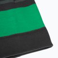 Dětská zimní čepice Jack Wolfskin Stripy Knit slate green/mystic 6