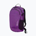 Batoh Jack Wolfskin Velocity 20 l freesia 4
