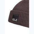 Zimní čepice Jack Wolfskin Pergamon Beanie sheer plum 3