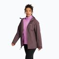 Dámská bunda 3v1 Jack Wolfskin Moonrise 2 3IN1 sheer plum 4