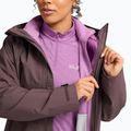 Dámská bunda 3v1 Jack Wolfskin Moonrise 2 3IN1 sheer plum 8
