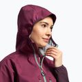 Dámská skialpová bunda Jack Wolfskin Alpspitze Hoody fialová 1307391_1014 5