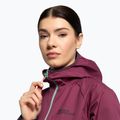 Dámská skialpová bunda Jack Wolfskin Alpspitze Hoody fialová 1307391_1014 6