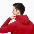 Pánská fleece mikina Jack Wolfskin Baiselberg červená 1710541 3