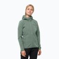 Dámská softshellová bunda Jack Wolfskin Bornberg Hoody zelená 1307691