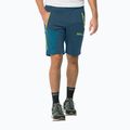 Pánské softshellové kalhoty Jack Wolfskin Glastal Zip Away tmavě modré 1508301 3