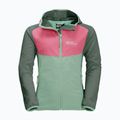Dětská softshellová bunda Jack Wolfskin Turbulence zelená 1606385