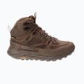 Pánské trekingové boty Jack Wolfskin Terraquest Texapore Mid bear 10