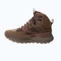 Pánské trekingové boty Jack Wolfskin Terraquest Texapore Mid bear 11