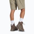 Pánské trekingové boty Jack Wolfskin Terraquest Texapore Mid bear 16