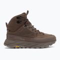 Pánské trekingové boty Jack Wolfskin Terraquest Texapore Mid bear 2