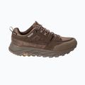 Pánské trekingové boty Jack Wolfskin Terraquest Texapore Low gecko bear 3