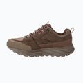 Pánské trekingové boty Jack Wolfskin Terraquest Texapore Low gecko bear 4