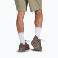 Pánské trekingové boty Jack Wolfskin Terraquest Texapore Low gecko bear 9