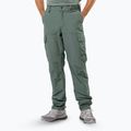 Pánské trekové kalhoty Jack Wolfskin Barrier hedge green