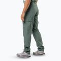 Pánské trekové kalhoty Jack Wolfskin Barrier hedge green 2