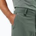 Pánské trekové kalhoty Jack Wolfskin Barrier hedge green 3