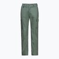 Pánské trekové kalhoty Jack Wolfskin Barrier hedge green 6