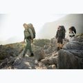Pánské trekové kalhoty Jack Wolfskin Barrier hedge green 7