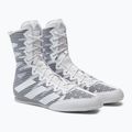 Boxerské boty męskie adidas Box Hog 4 šedá GZ6118 4