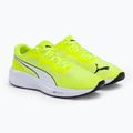 Běžecké boty PUMA Aviator Profoam Sky 12 green 376615 16 4