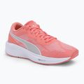 PUMA Aviator Profoam Sky 12 běžecká obuv růžová 376615 12