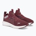 Dámská běžecká obuv PUMA Softride Enzo Nxt maroon 195235 17 4