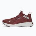 Dámská běžecká obuv PUMA Softride Enzo Nxt maroon 195235 17 11