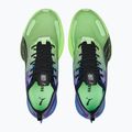 Pánská běžecká obuv PUMA Fast-R NITRO Elite Carbon royal sapphire/fizzy lime 15