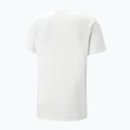 Pánské tričko PUMA Graphic Training T-shirt white 523414 02 2