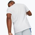 Pánské tričko PUMA Graphic Training T-shirt white 523414 02 4